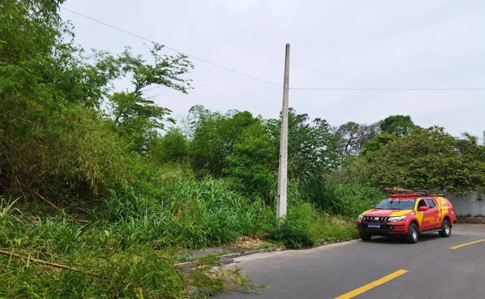 Ossada humana é encontrada em Goiânia durante busca por idosa desaparecida